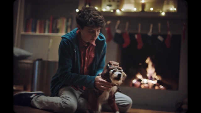 Video Reference: Human, Canidae