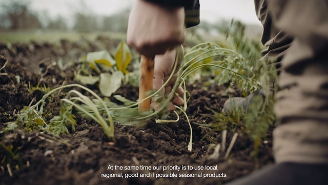Video Reference: People in nature, Nature, Grass, Adaptation, Soil, Farmworker, Plant, Grass, Hand, Photography