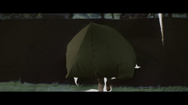 Video Reference: Photograph, Green, Light, Lighting, Umbrella, Leaf, Darkness, Tent, Organism, Grass