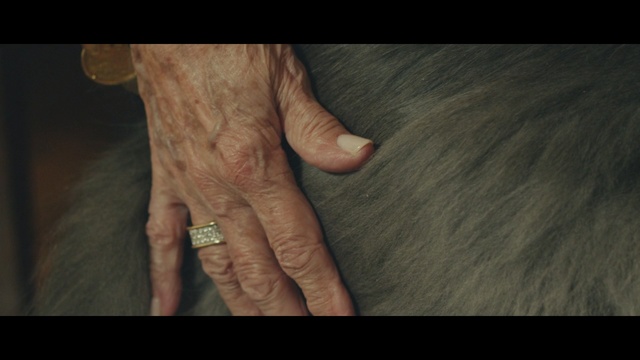 Video Reference: skin, hand, finger, arm, human, close up, mouth, neck, wrinkle, nail