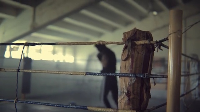 Video Reference: Zoo