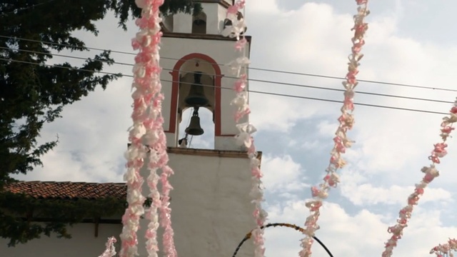 Video Reference: Tower, Bell, Plant, Steeple, Flower, Place of worship