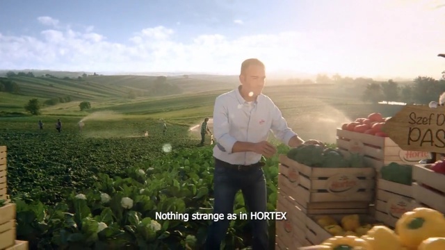 Video Reference: Plantation, Farm, Rural area, Hill station, Plant, Crop, Travel, Tourism