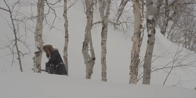 Video Reference: snow, winter, tree, woody plant, freezing, frost, blizzard, birch, geological phenomenon, winter storm, Person