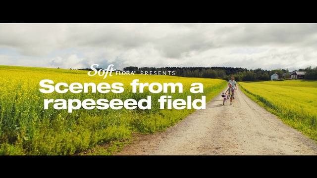 Video Reference: Nature, Yellow, Font, Field, Text, Grassland, Grass, Road, Rapeseed, Rural area