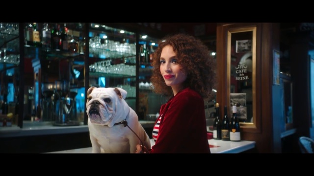 Video Reference: Dog, Canidae, Bulldog, Dog breed, Olde english bulldogge, Companion dog, Non-Sporting Group, American bulldog, Snout, White english bulldog, Person