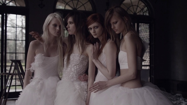 Video Reference: Dress, Gown, Clothing, Photograph, Wedding dress, Bridal clothing, Bride, Lady, Beauty, Fashion, Person