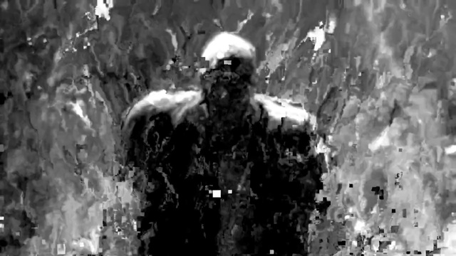 Video Reference: Black-and-white, Tree, Monochrome, Organism, Beard, Monochrome photography, Facial hair, Photography, Fictional character, Art