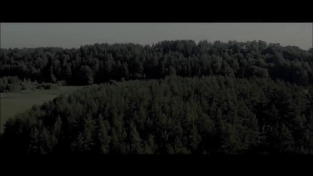 Video Reference: Nature, Black, Sky, Aerial photography, Atmospheric phenomenon, Tree, Vegetation, Wilderness, Biome, Natural environment