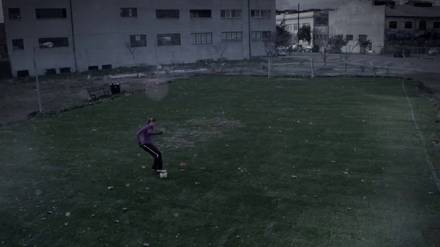 Video Reference: Grass, Atmosphere, Player, Lawn, Sport venue, Photography, Land lot, Landscape, Plant, Competition event, Person