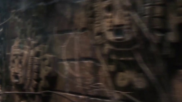 Video Reference: Brown, Darkness, Tree, Forest, Wood, Wildlife, Ancient history, History, Woodland, Plant