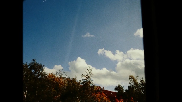 Video Reference: sky, cloud, atmosphere, daytime, tree, cumulus, sunlight, meteorological phenomenon, morning, horizon