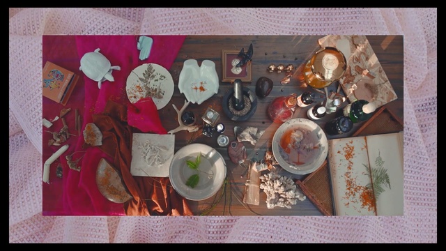 Video Reference: Still life, Painting, Art, Photography, Still life photography, Visual arts, Collage, Artwork, Person