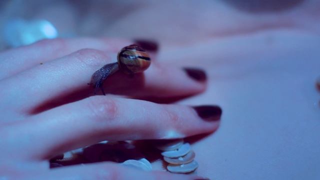 Video Reference: Water, Finger, Hand, Close-up, Macro photography, Organism, Nail, Photography, Plant, Amphibian