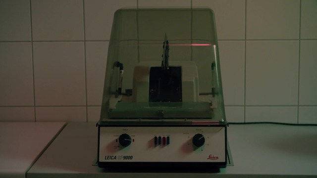 Video Reference: , Person