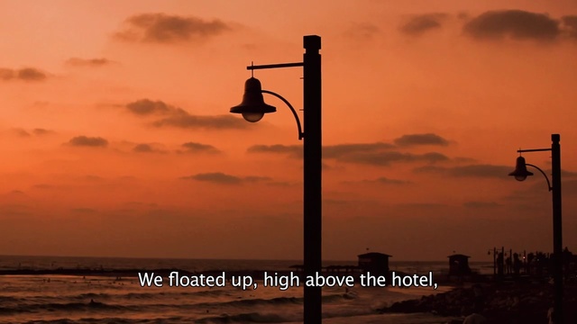 Video Reference: sky, sunrise, sunset, sea, afterglow, evening, horizon, dawn, street light, dusk, Person