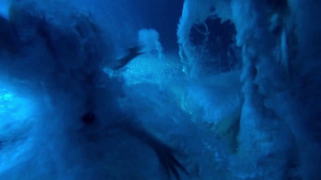 Video Reference: Blue, Water, Turquoise, Ice cave, Glacial landform, Organism, Electric blue, Underwater, Fictional character
