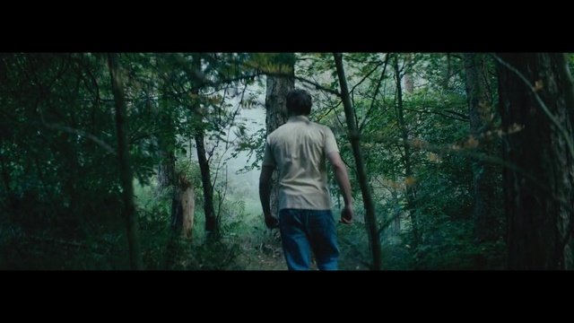 Video Reference: Nature, Forest, Woodland, Green, Natural environment, Jungle, Tree, Wilderness, Old-growth forest, Biome