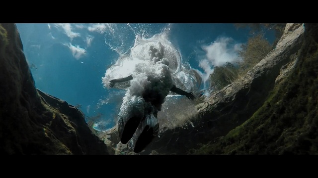 Video Reference: Nature, Underwater, Organism, Photography, Geological phenomenon, Marine biology, World, Screenshot, Fictional character