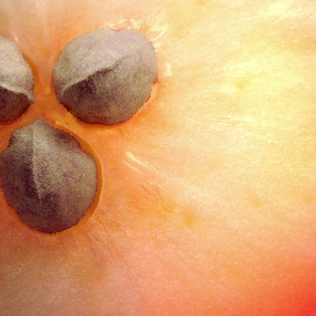 Video Reference: Skin, Close-up