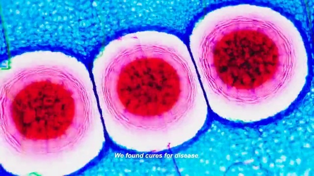 Video Reference: Colorfulness