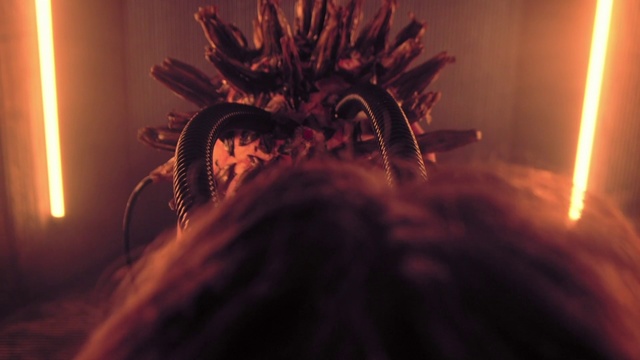 Video Reference: Light, Tree, Room, Plant, Heat, Night, Flower, Person