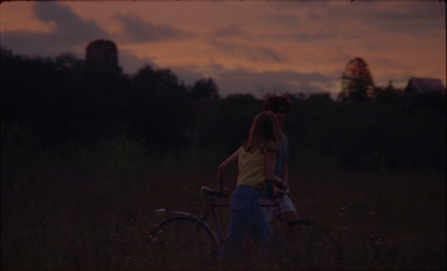 Video Reference: Sky, Photograph, Evening, Dusk, Atmosphere, Darkness, Night, Photography, Cloud, Grass