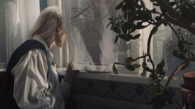 Video Reference: Tree, Organism, Branch, Plant, Photography, Visual arts, Window, Screenshot