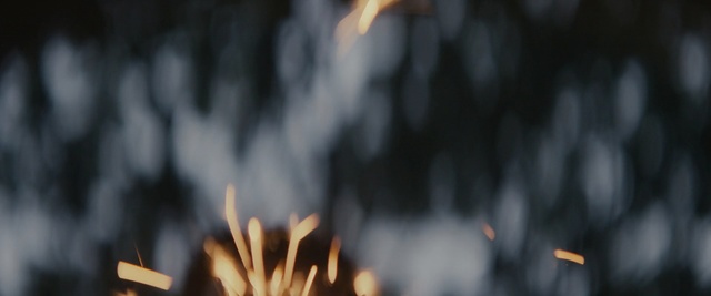 Video Reference: Tree, Smoke, Spring, Sky, Atmosphere, Branch, Hand, Crowd, Winter, Wood