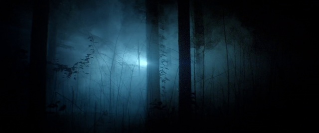 Video Reference: Blue, Darkness, Black, Atmosphere, Atmospheric phenomenon, Light, Natural environment, Sky, Forest, Tree