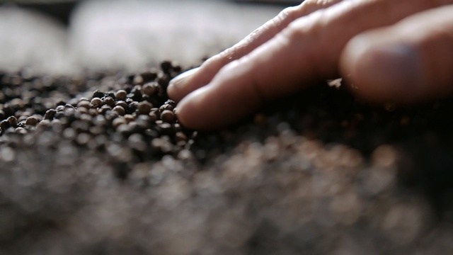 Video Reference: hand, soil, finger, nail