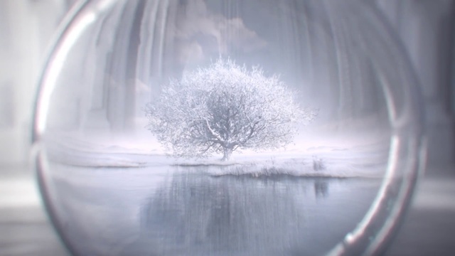 Video Reference: Transparent material, Atmospheric phenomenon, Tree, Photography, Glass, Circle