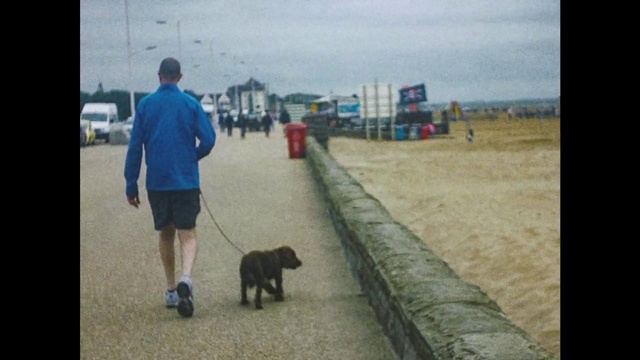 Video Reference: Dog, Canidae, Leash, Dog walking, Walking, Sporting Group, Companion dog, Carnivore, Street dog