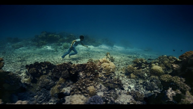 Video Reference: sea, underwater, water, reef, coral reef, ocean, marine biology, organism, sky, rock