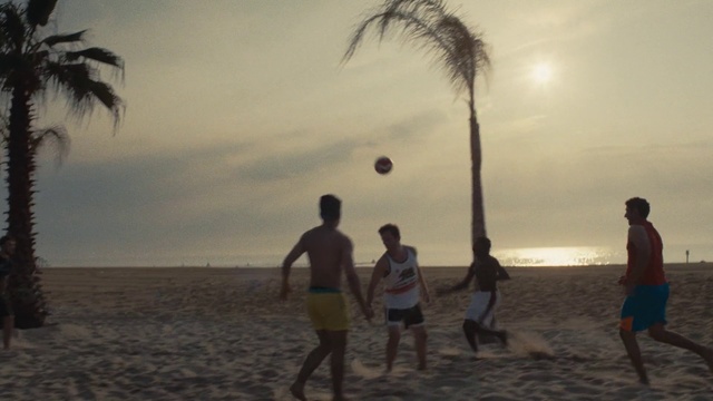 Video Reference: People on beach, Beach, Fun, Vacation, Sky, Tree, Horizon, Team sport, Palm tree, Ocean