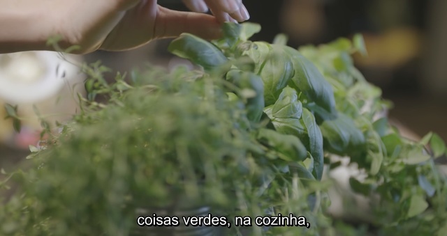 Video Reference: Plant, Leaf, Flower, Food, Vegetable, Herb, Leaf vegetable, Person