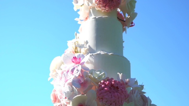Video Reference: Pink, Wedding cake, Cake, Buttercream, Wedding ceremony supply, Dress, Flower, Petal, Plant, Icing