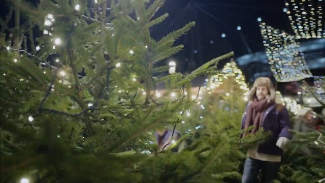 Video Reference: Nature, Tree, Light, Lighting, Botany, Plant, Organism, Christmas tree, Sky, Branch