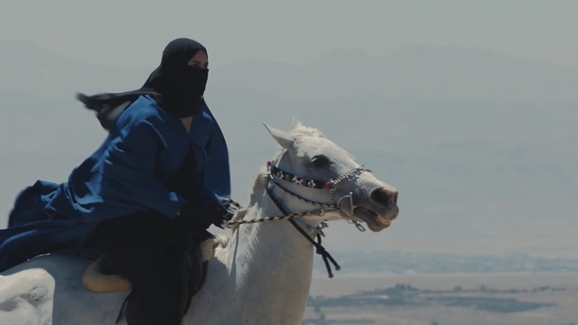 Video Reference: Camel, Mammal, Halter, Camelid, Arabian camel, Atmospheric phenomenon, Rein, Pack animal, Horse, Livestock