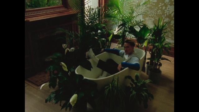 Video Reference: Houseplant, Green, Plant, Leaf, Floral design, Botany, Flower, Art, Floristry, Fun