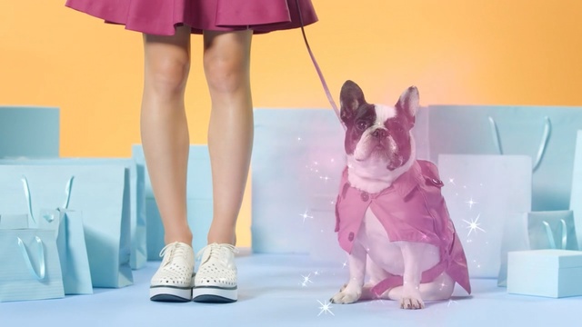 Video Reference: pink, shoe, leg, fashion, girl, Person