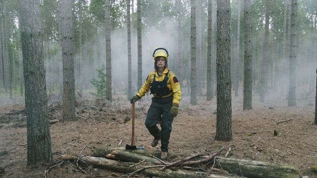 Video Reference: Woodland, Forest, Natural environment, Atmospheric phenomenon, Tree, Biome, Old-growth forest, Northern hardwood forest, Plant, Temperate coniferous forest, Person