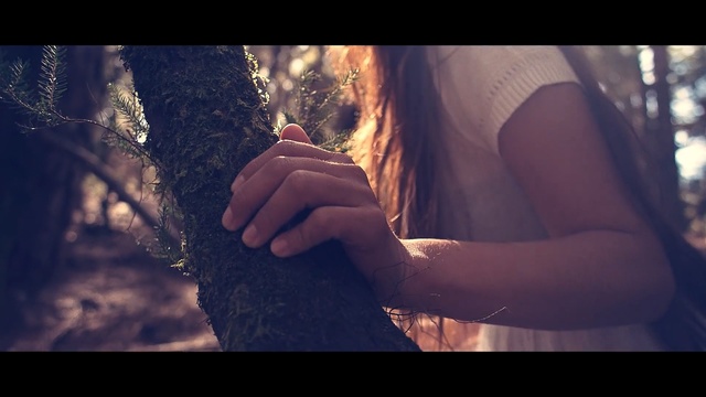 Video Reference: People in nature, Hand, Tree, Light, Beauty, Arm, Sunlight, Finger, Gesture, Human