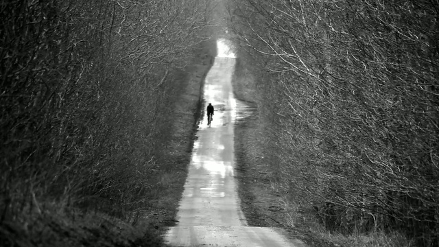 Video Reference: White, Black, Black-and-white, Monochrome photography, Water, Monochrome, Light, Tree, Photography, Darkness, Person