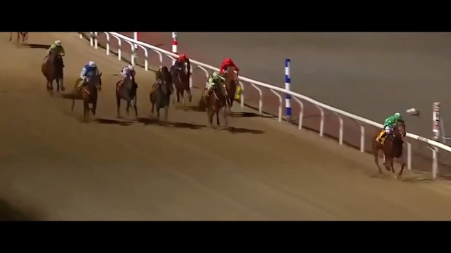 Video Reference: Horse, Horse racing, Mammal, Animal sports, Jockey, Race track, Rein, Sports, Racing, Bridle, Person