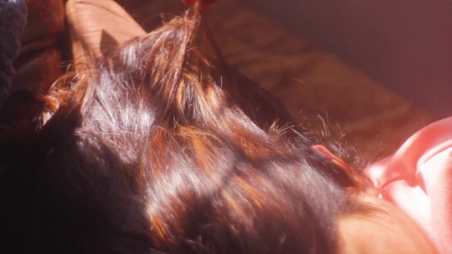 Video Reference: Hair, Ear, Brown hair, Hairstyle, Liver, Hair coloring, Organism, Fur, Long hair, Australian silky terrier