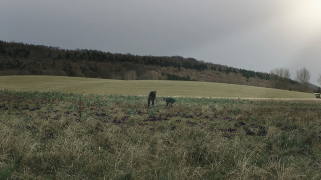 Video Reference: ecosystem, grassland, field, hill, pasture, sky, rural area, grass, plain, prairie