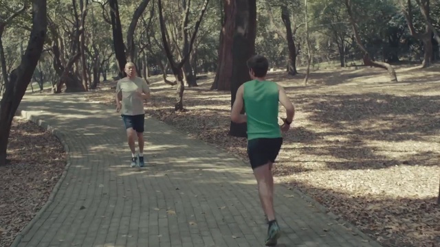 Video Reference: Running, Jogging, Outdoor recreation, Recreation, Exercise, Long-distance running, Cross country running, Tree, Individual sports, Trail