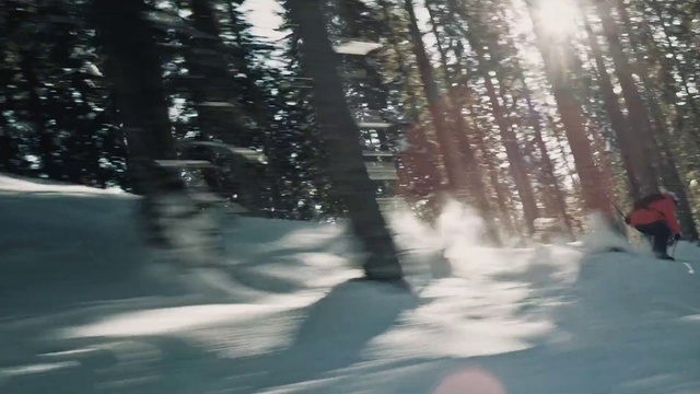 Video Reference: Snow, Nature, Tree, Winter, Natural environment, Light, Freezing, Forest, Sunlight, Water