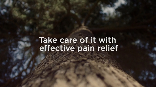 Video Reference: Nature, Tree, Natural landscape, Trunk, Sky, Font, Adaptation, Woody plant, Organism, Branch